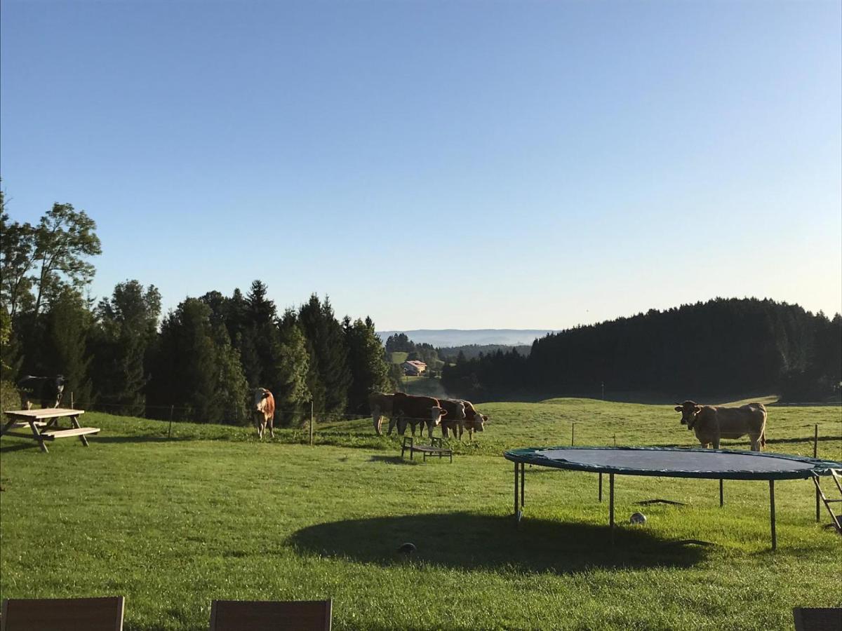 Gmeinder'S Landhaus Immenstadt im Allgäu エクステリア 写真